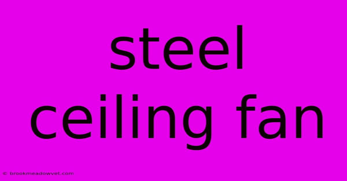 Steel Ceiling Fan