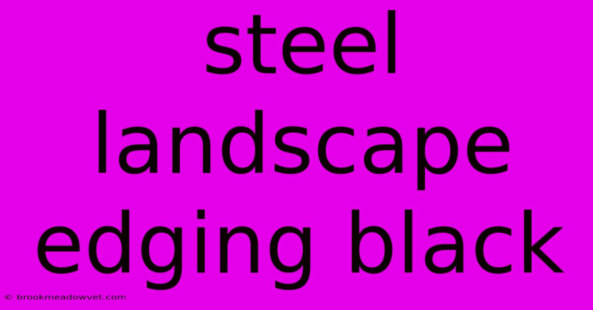 Steel Landscape Edging Black