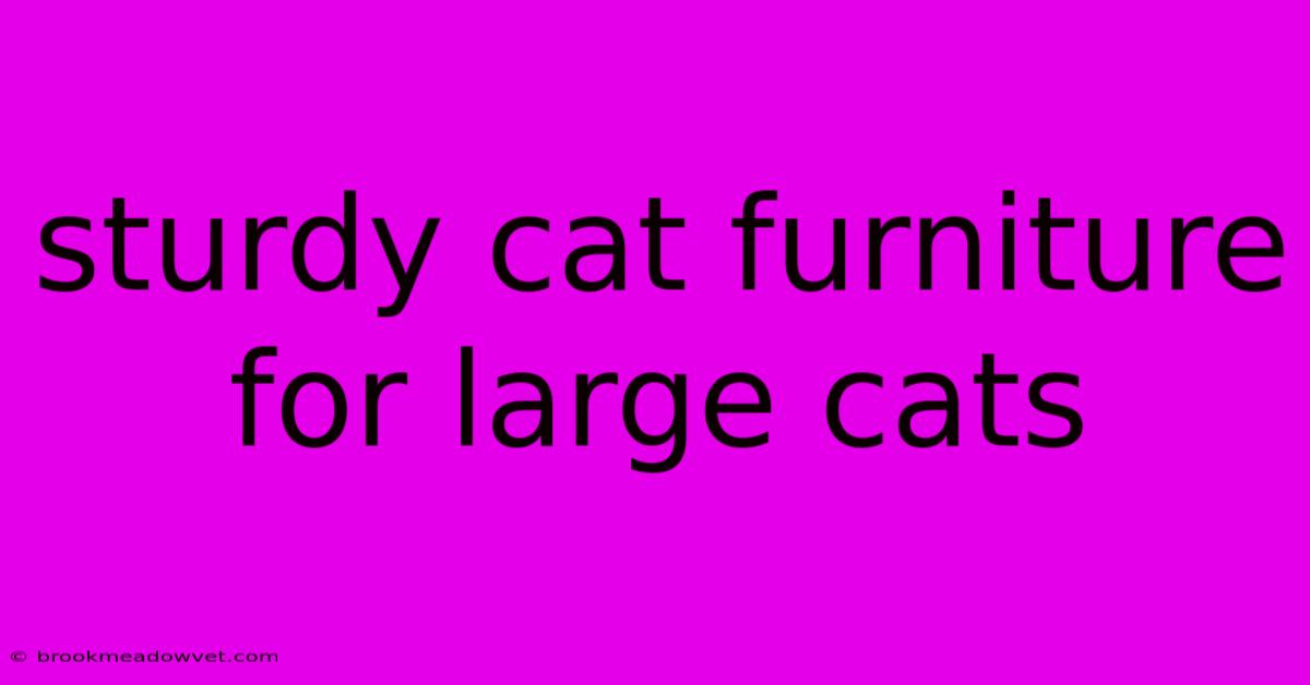 Sturdy Cat Furniture For Large Cats