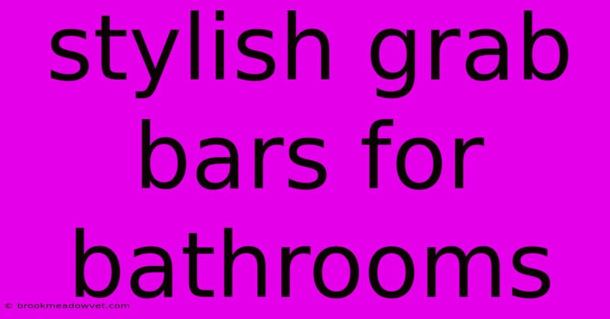 Stylish Grab Bars For Bathrooms