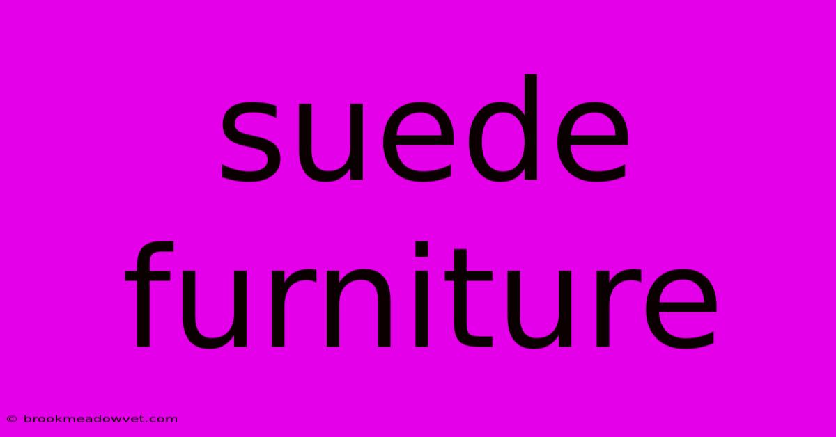 Suede Furniture