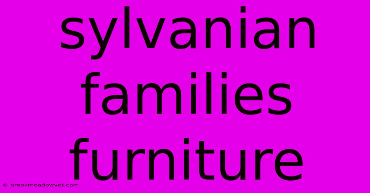 Sylvanian Families Furniture