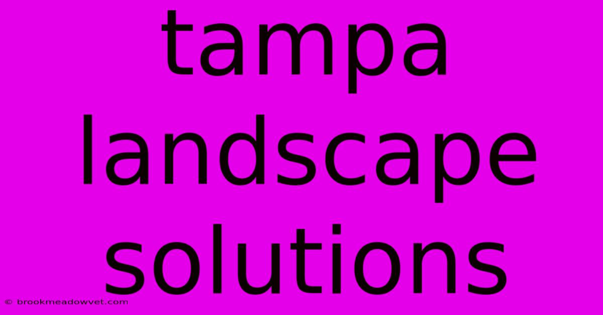 Tampa Landscape Solutions