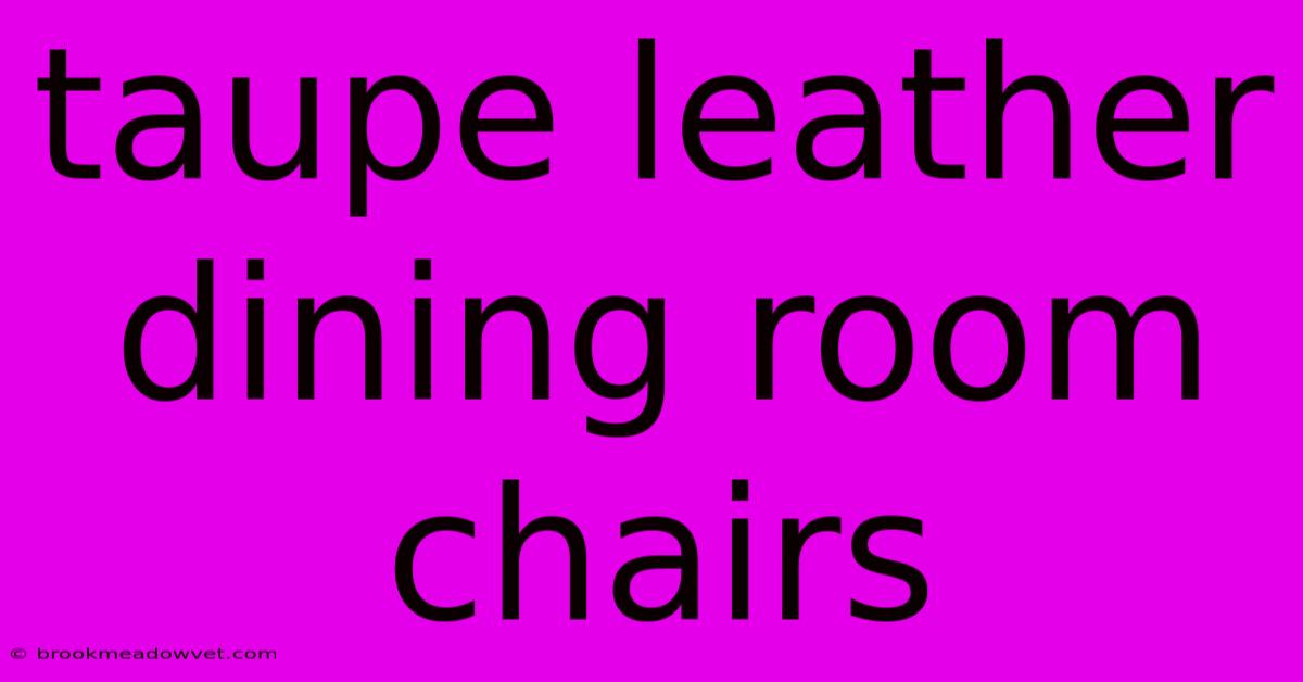 Taupe Leather Dining Room Chairs