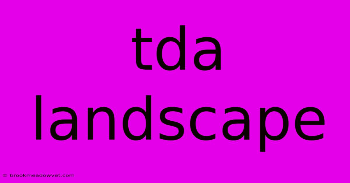 Tda Landscape