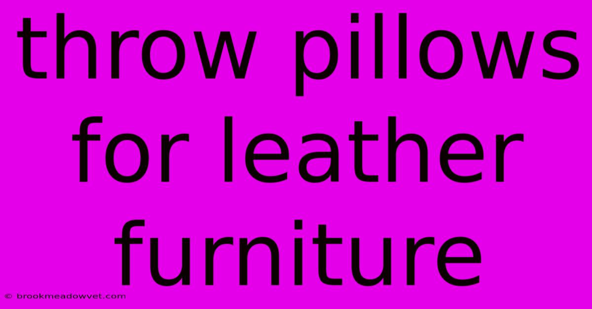 Throw Pillows For Leather Furniture