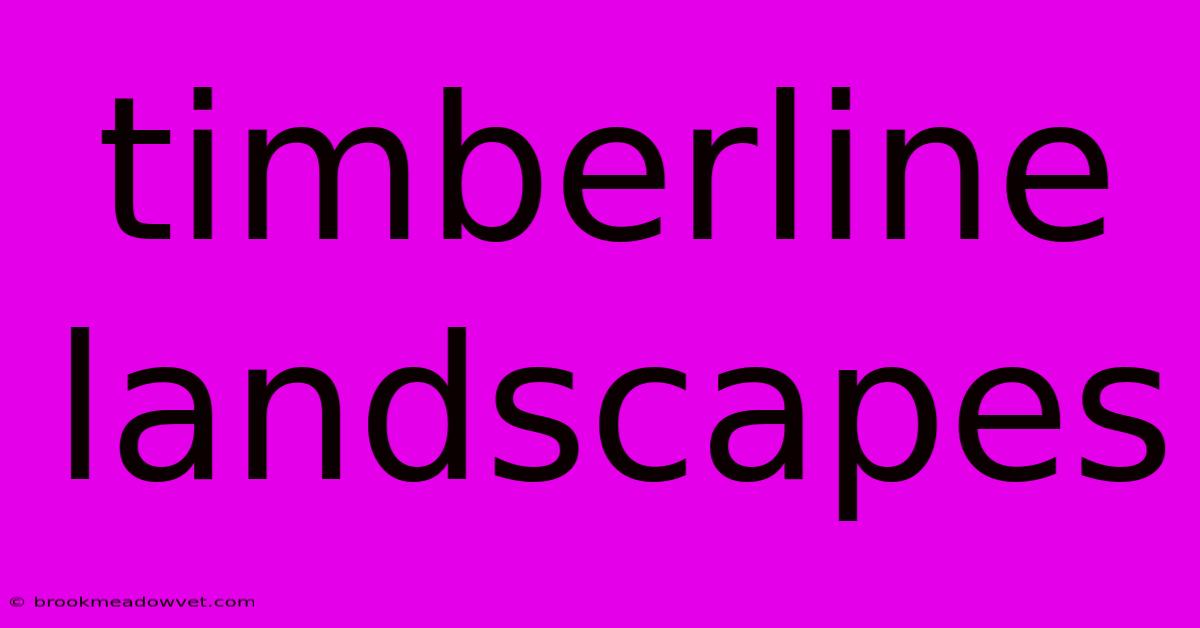 Timberline Landscapes