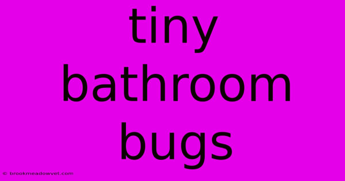 Tiny Bathroom Bugs