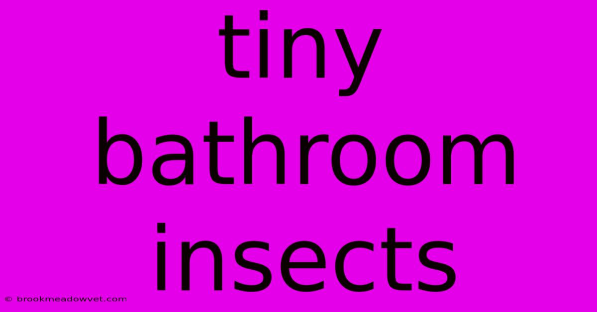 Tiny Bathroom Insects