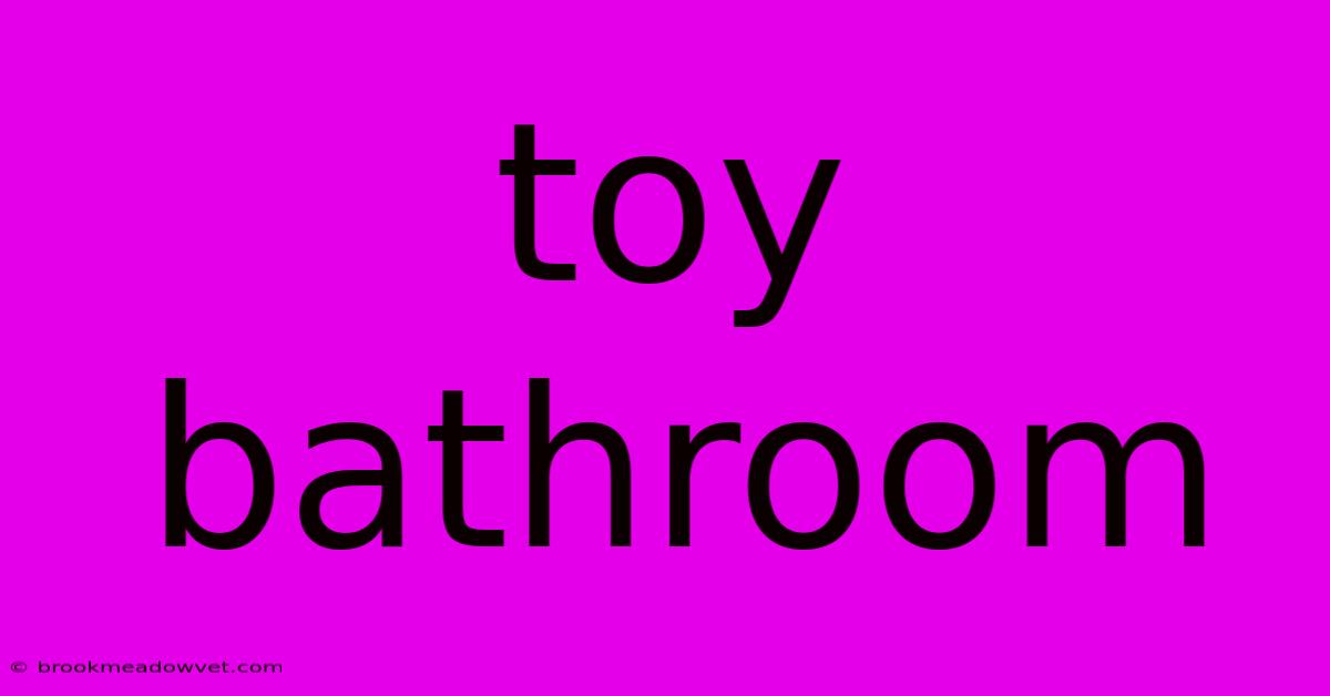 Toy Bathroom