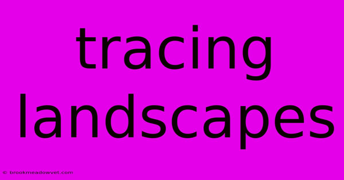 Tracing Landscapes