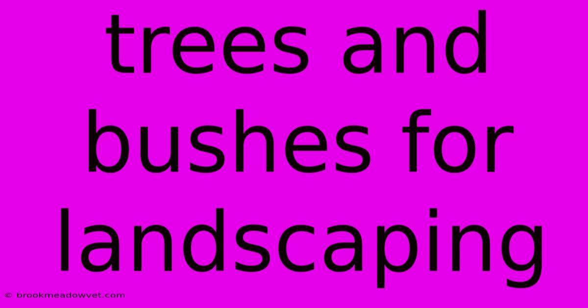 Trees And Bushes For Landscaping