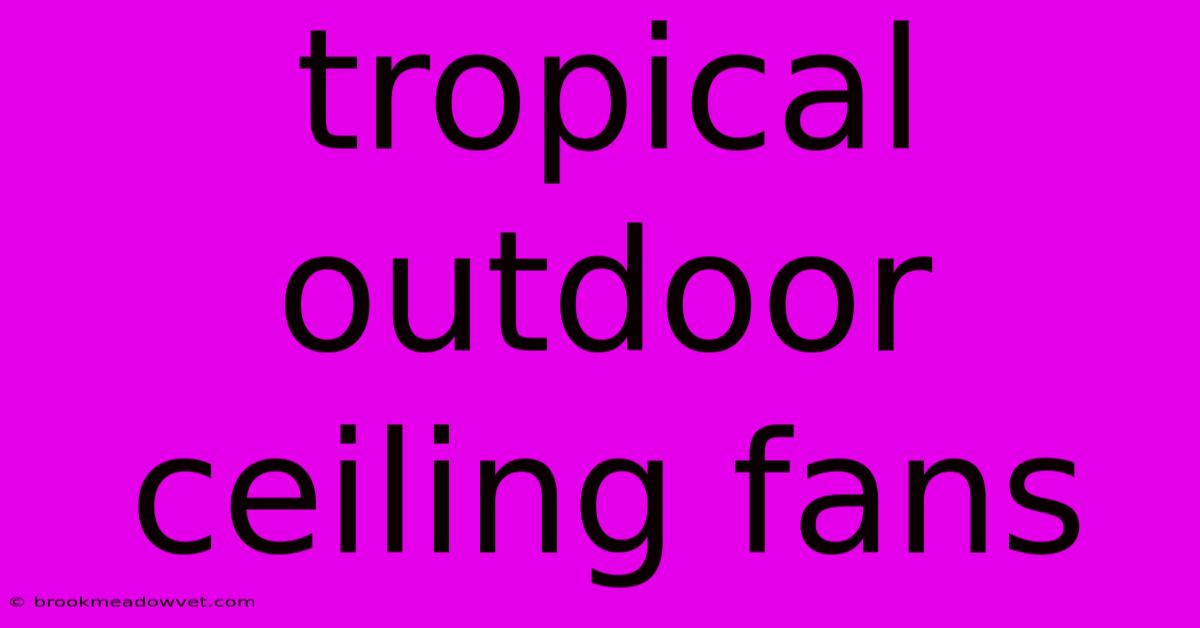 Tropical Outdoor Ceiling Fans