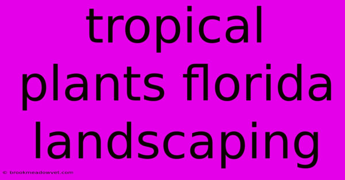 Tropical Plants Florida Landscaping