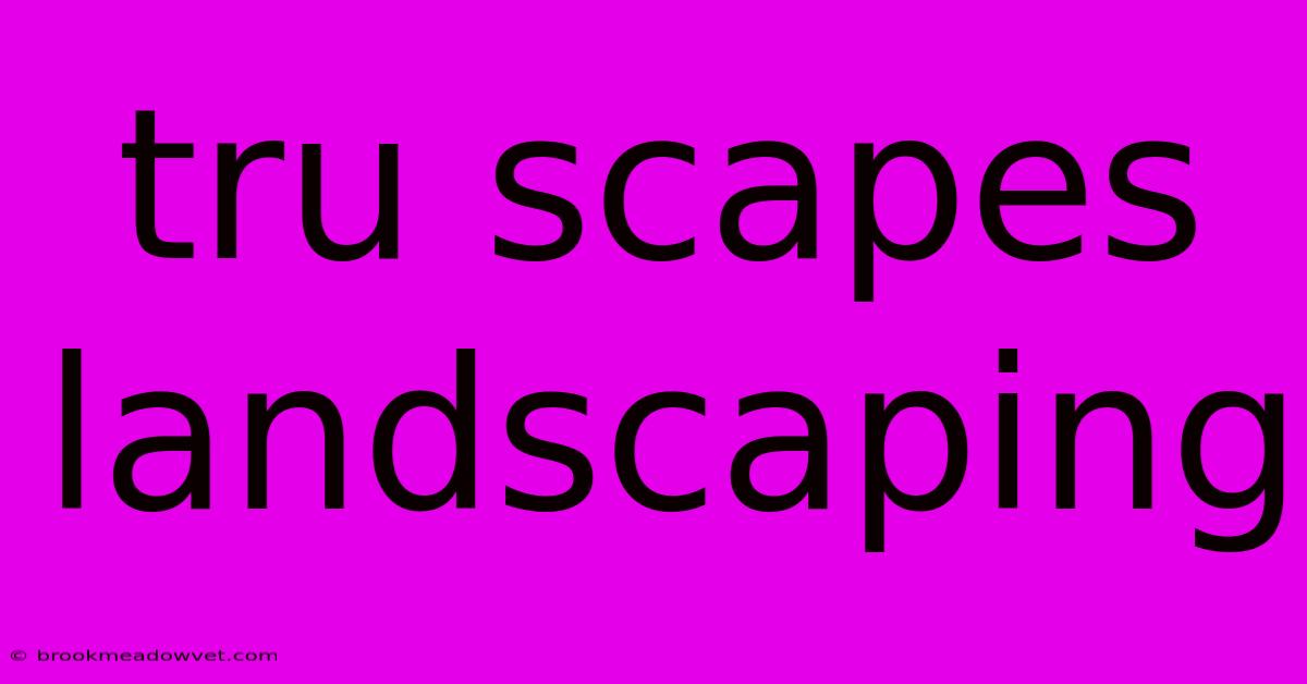 Tru Scapes Landscaping