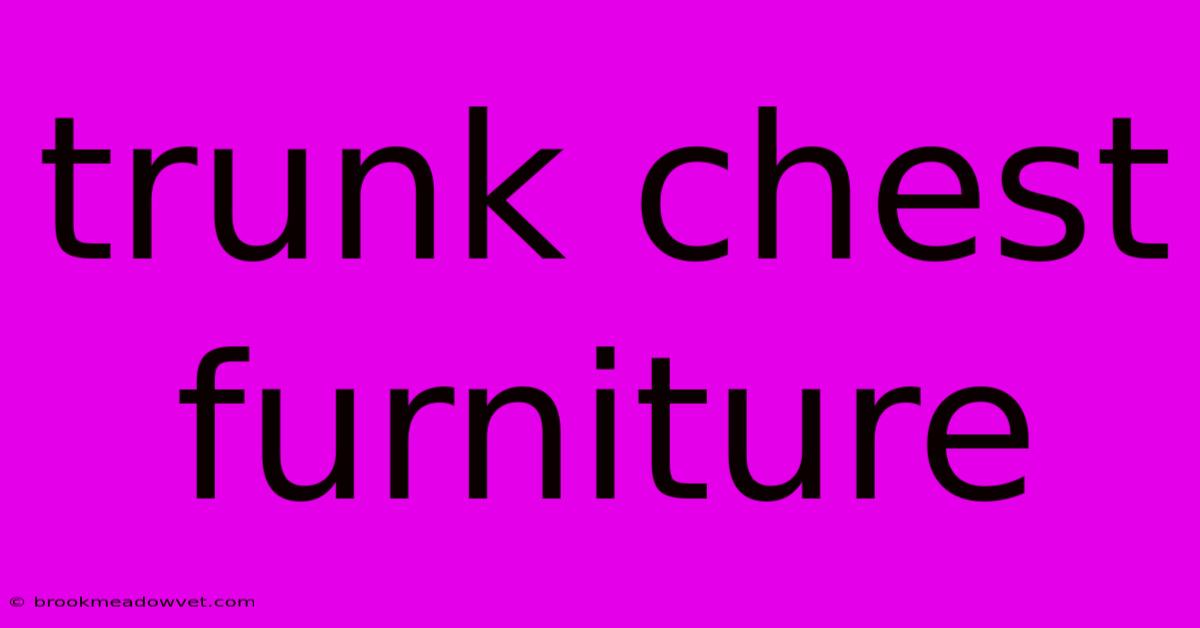 Trunk Chest Furniture