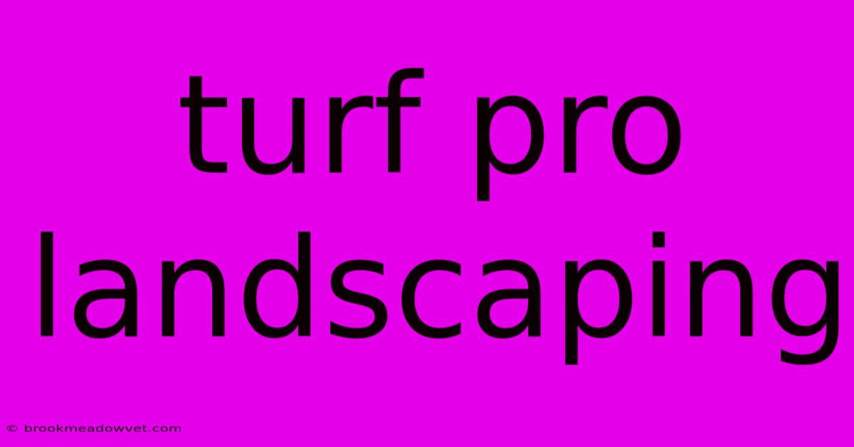 Turf Pro Landscaping