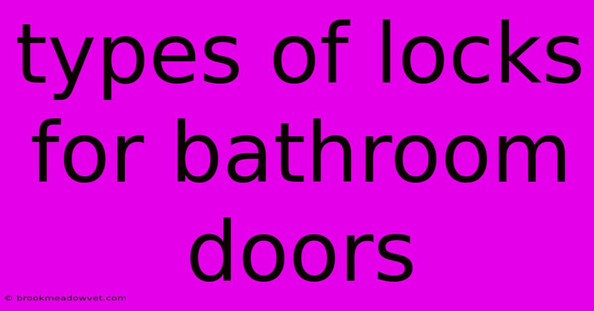 Types Of Locks For Bathroom Doors