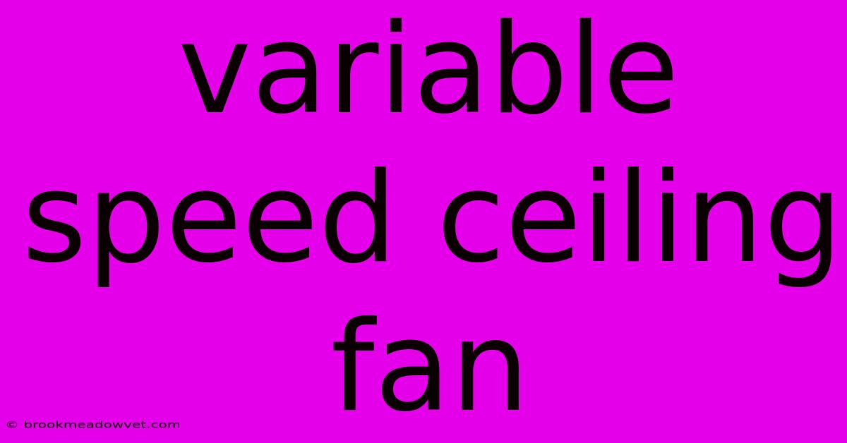 Variable Speed Ceiling Fan