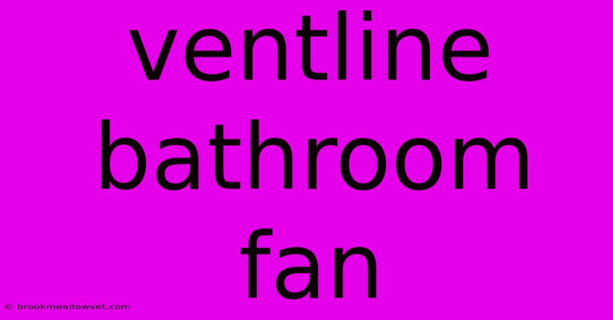 Ventline Bathroom Fan