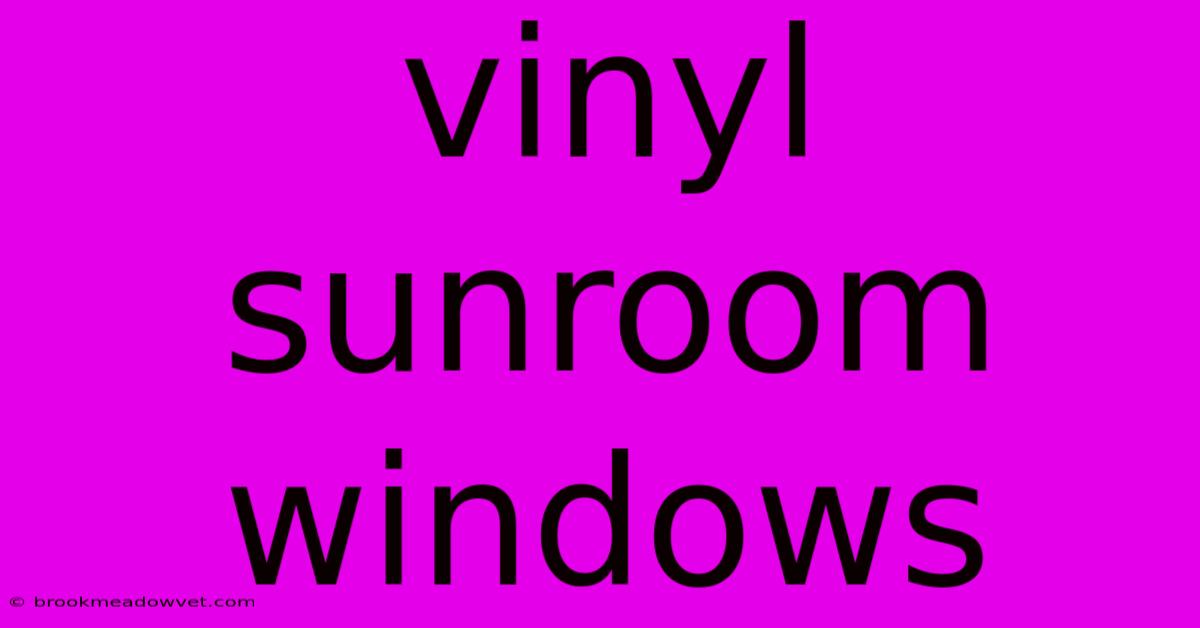 Vinyl Sunroom Windows