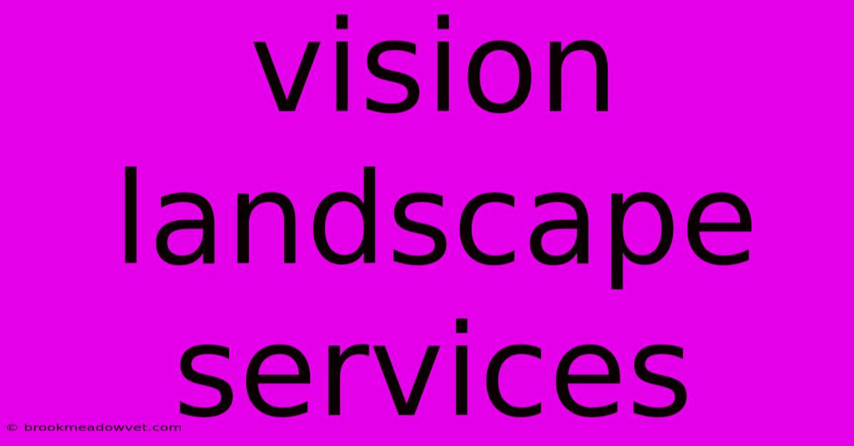 Vision Landscape Services