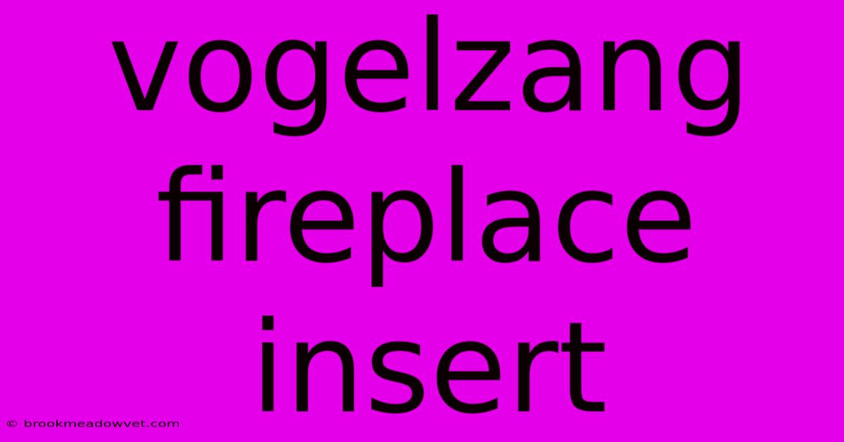 Vogelzang Fireplace Insert