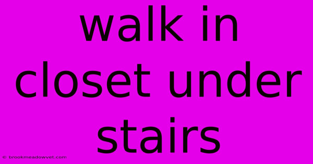 Walk In Closet Under Stairs