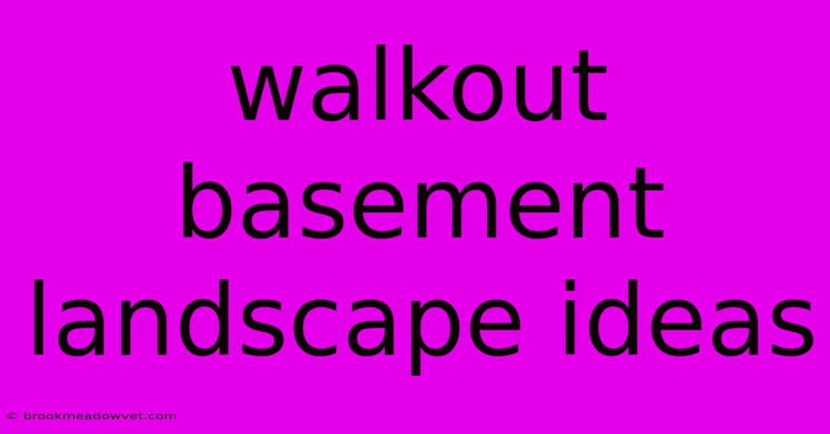 Walkout Basement Landscape Ideas