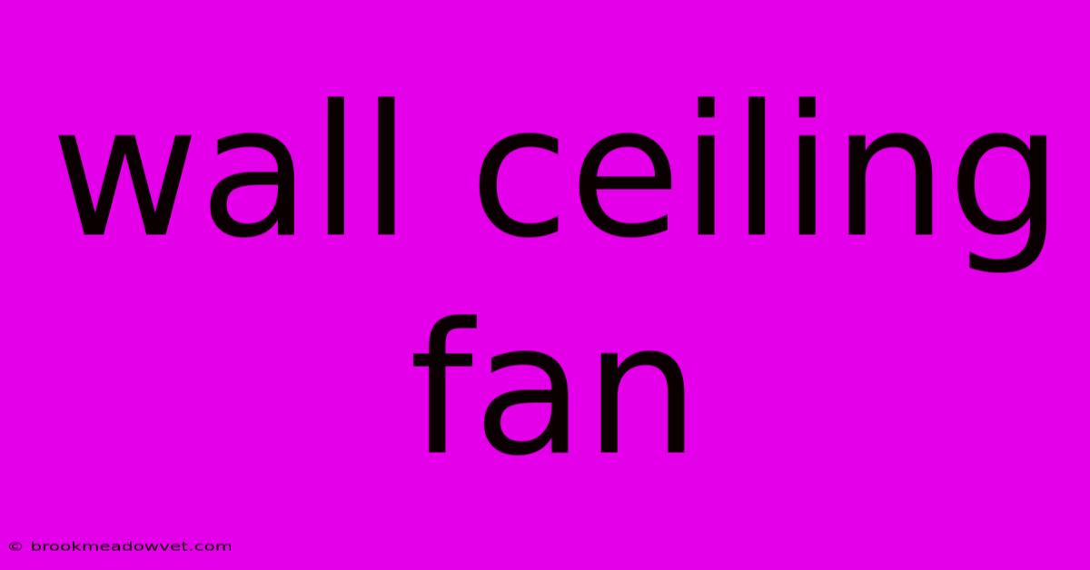 Wall Ceiling Fan