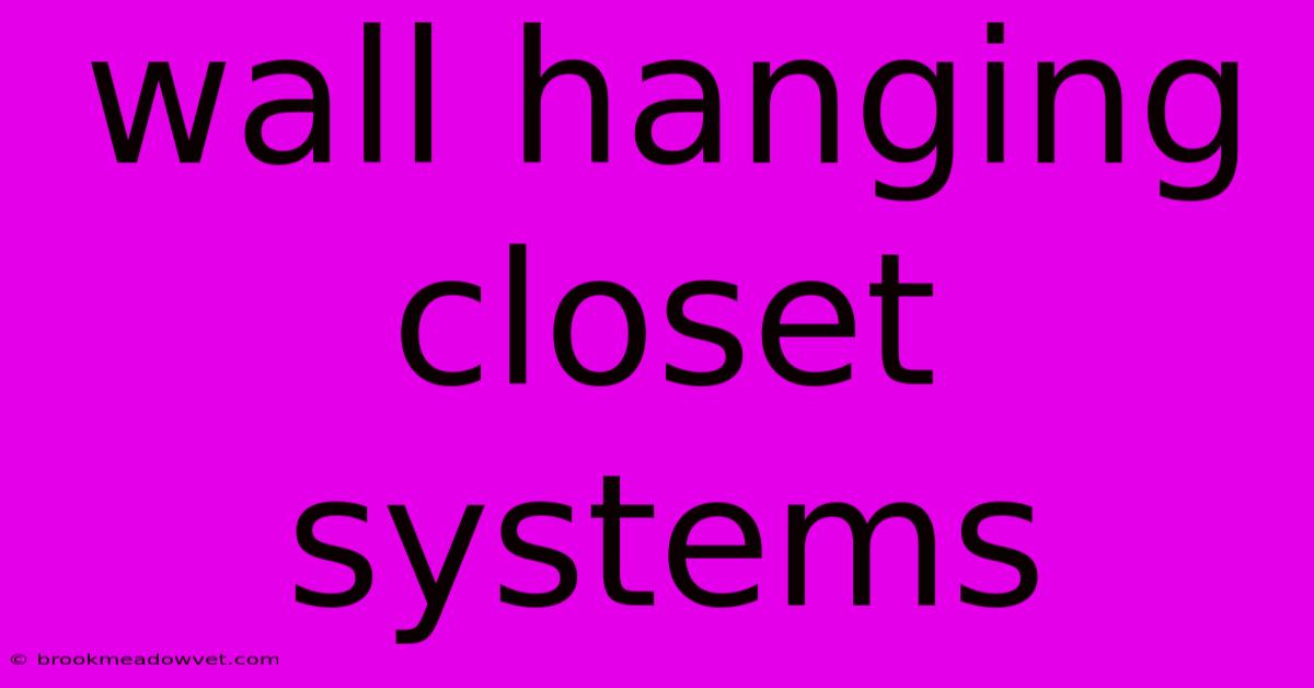 Wall Hanging Closet Systems