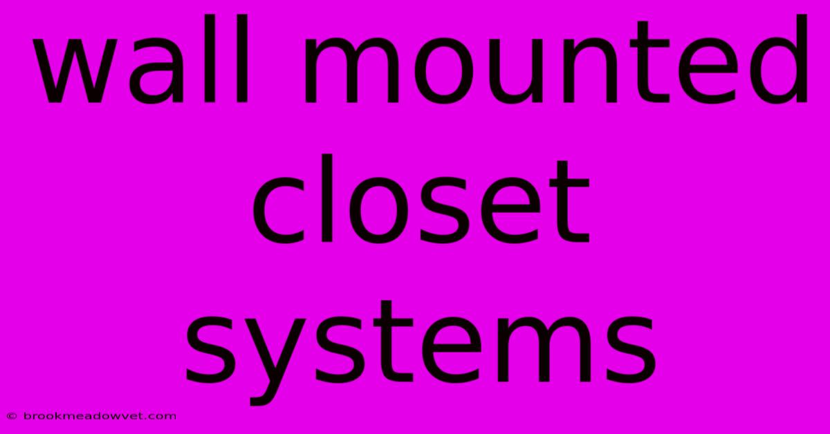 Wall Mounted Closet Systems