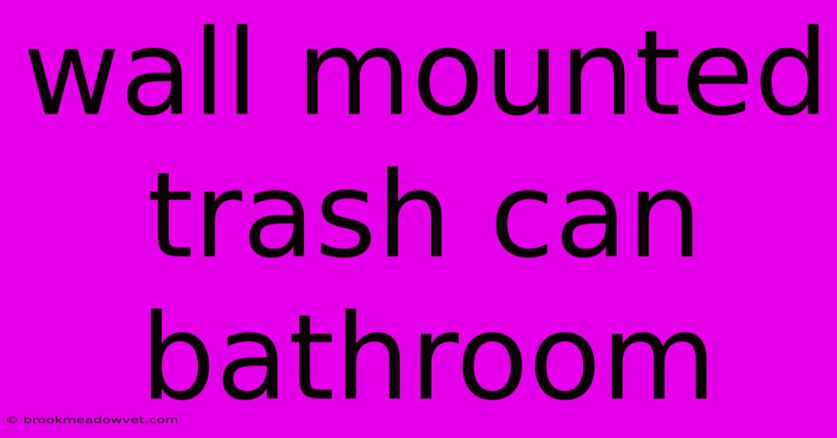 Wall Mounted Trash Can Bathroom