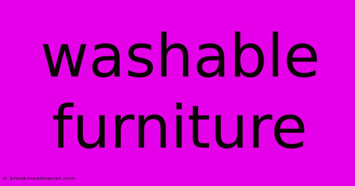 Washable Furniture