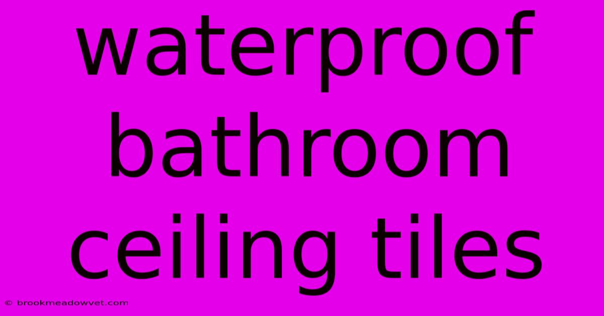 Waterproof Bathroom Ceiling Tiles