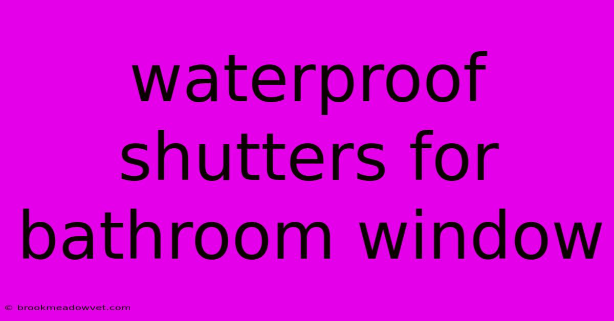 Waterproof Shutters For Bathroom Window