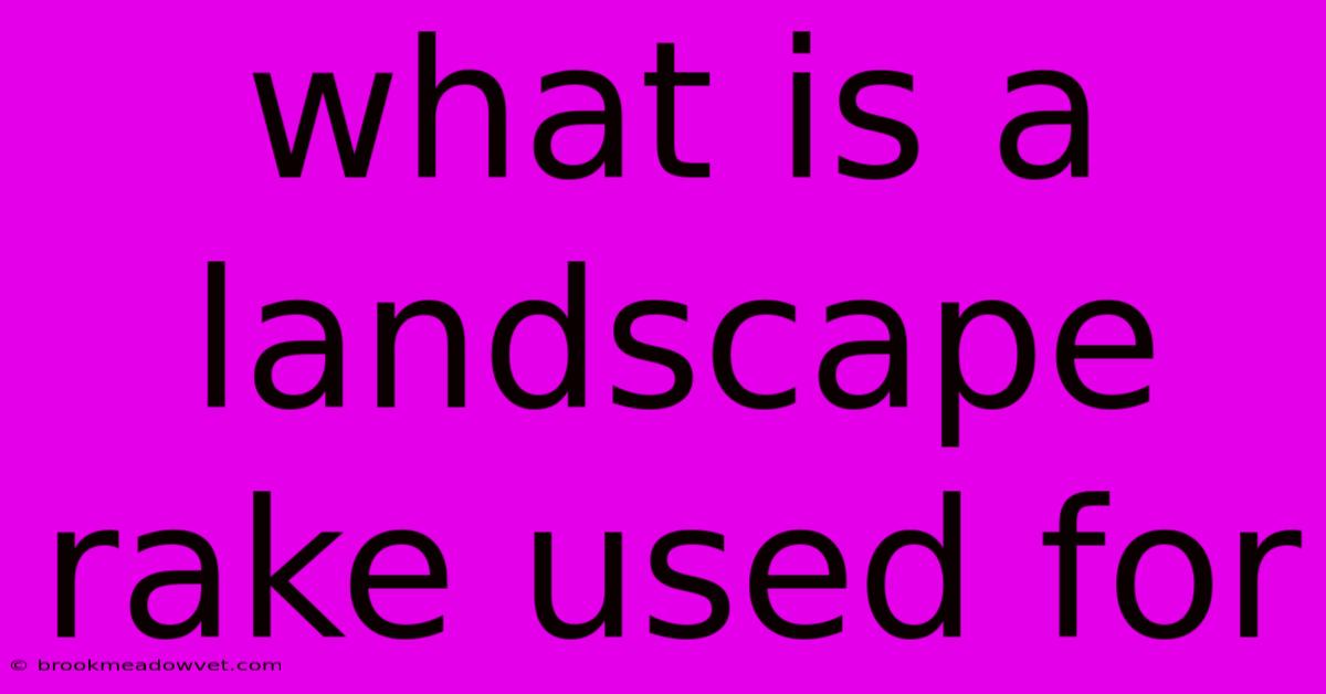 What Is A Landscape Rake Used For