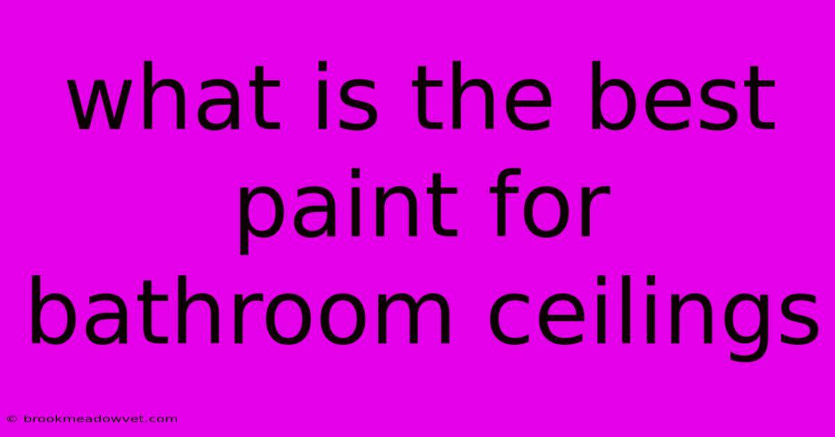 What Is The Best Paint For Bathroom Ceilings