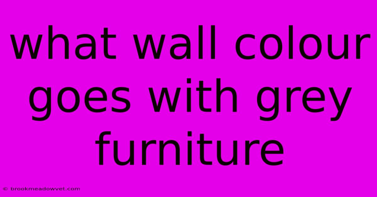 What Wall Colour Goes With Grey Furniture