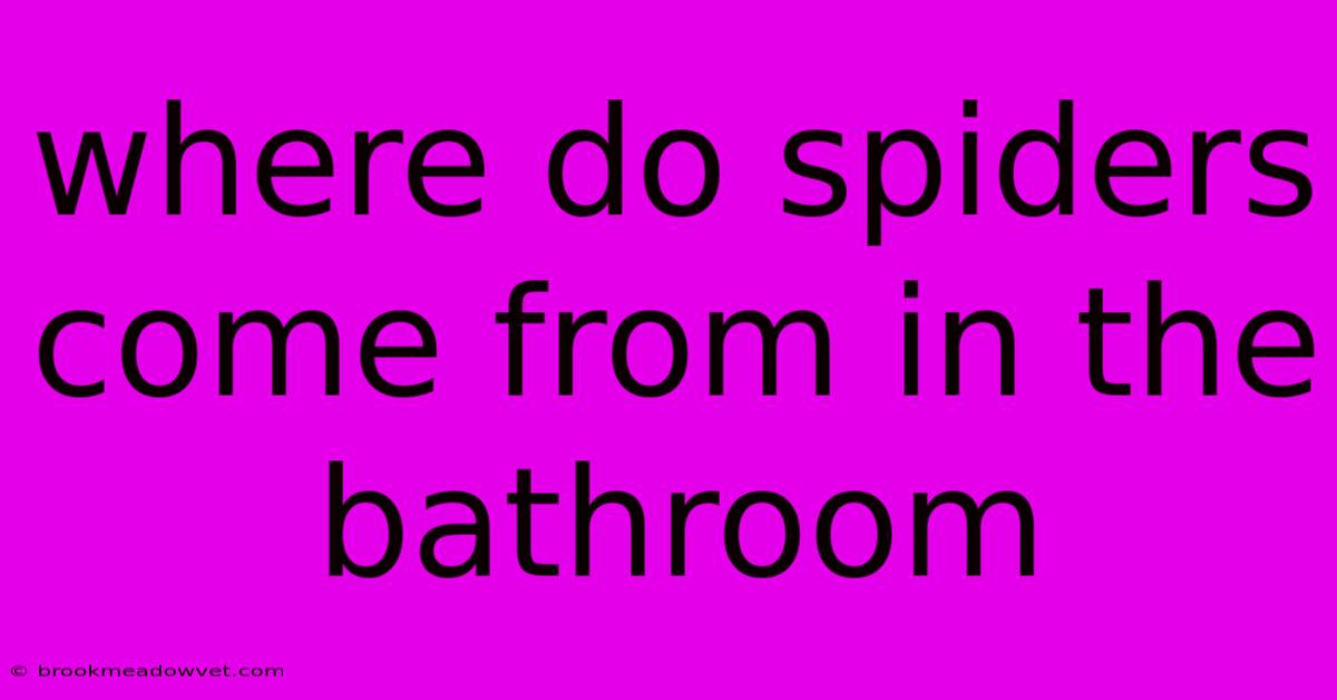 Where Do Spiders Come From In The Bathroom