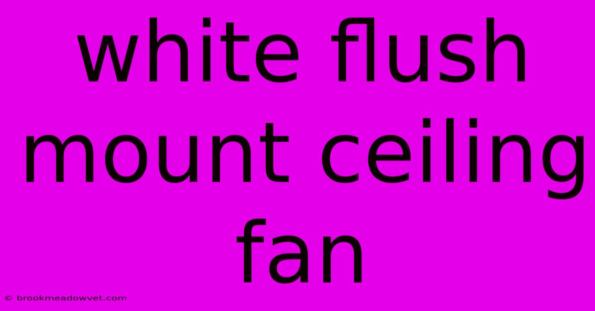 White Flush Mount Ceiling Fan