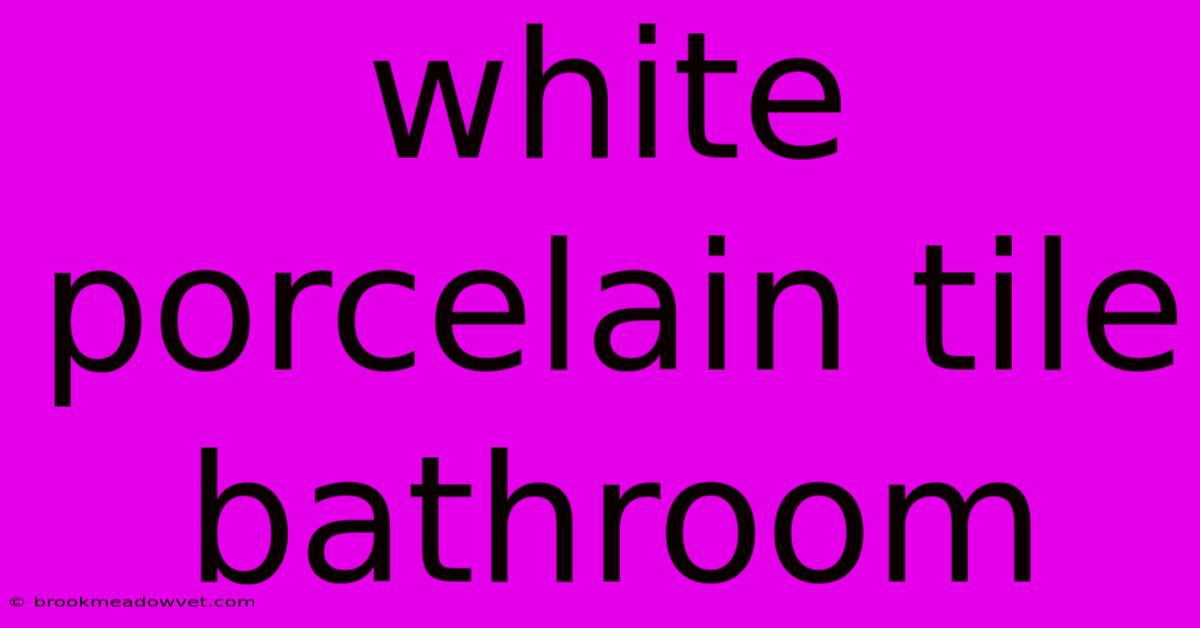 White Porcelain Tile Bathroom