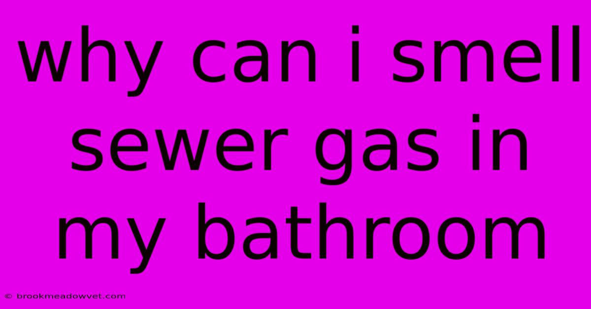 Why Can I Smell Sewer Gas In My Bathroom