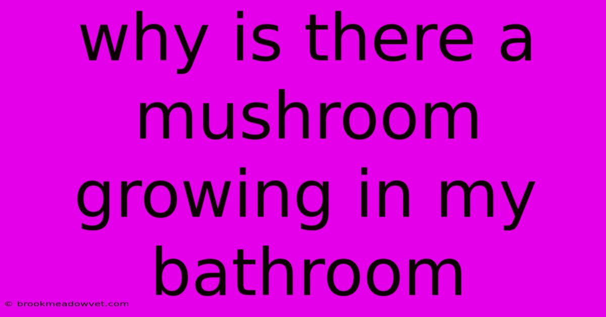 Why Is There A Mushroom Growing In My Bathroom