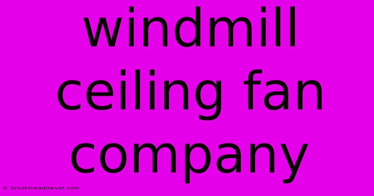 Windmill Ceiling Fan Company