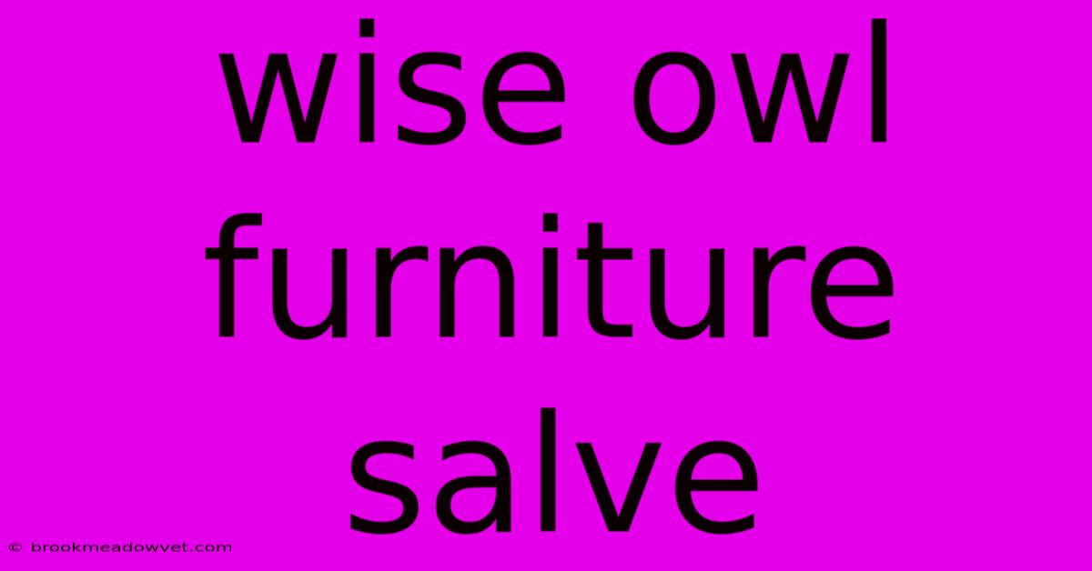 Wise Owl Furniture Salve