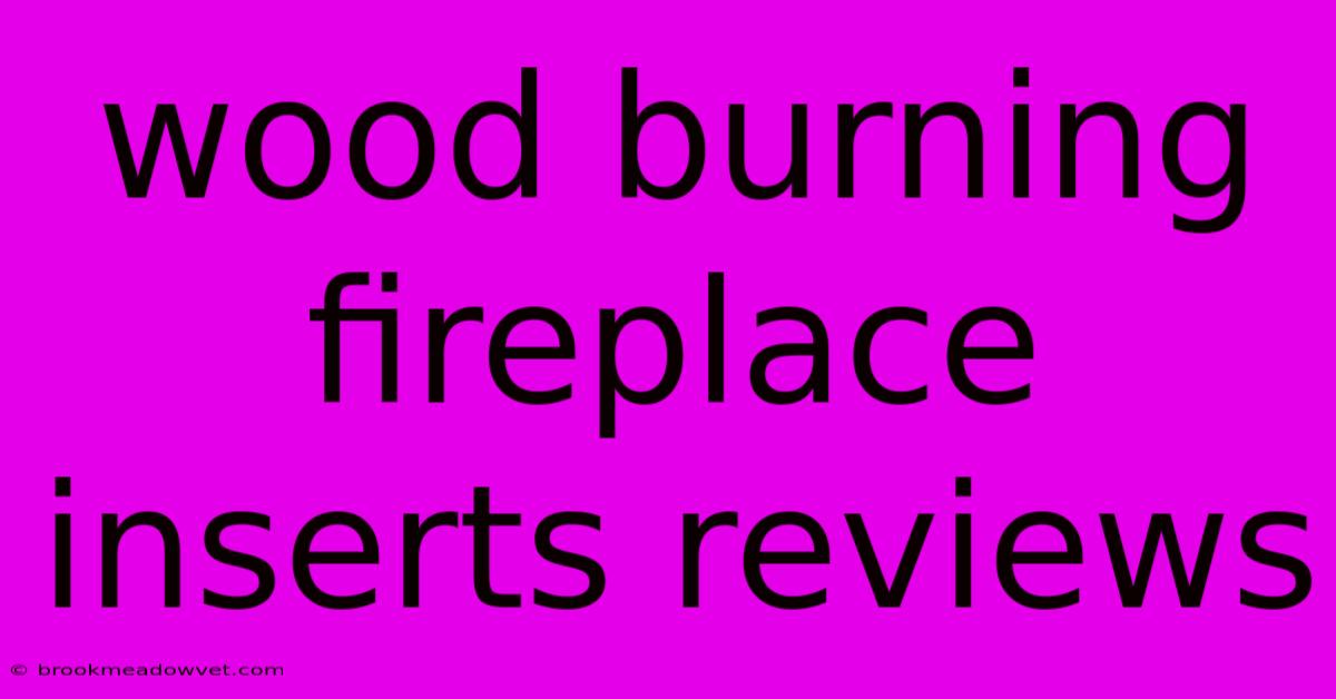 Wood Burning Fireplace Inserts Reviews