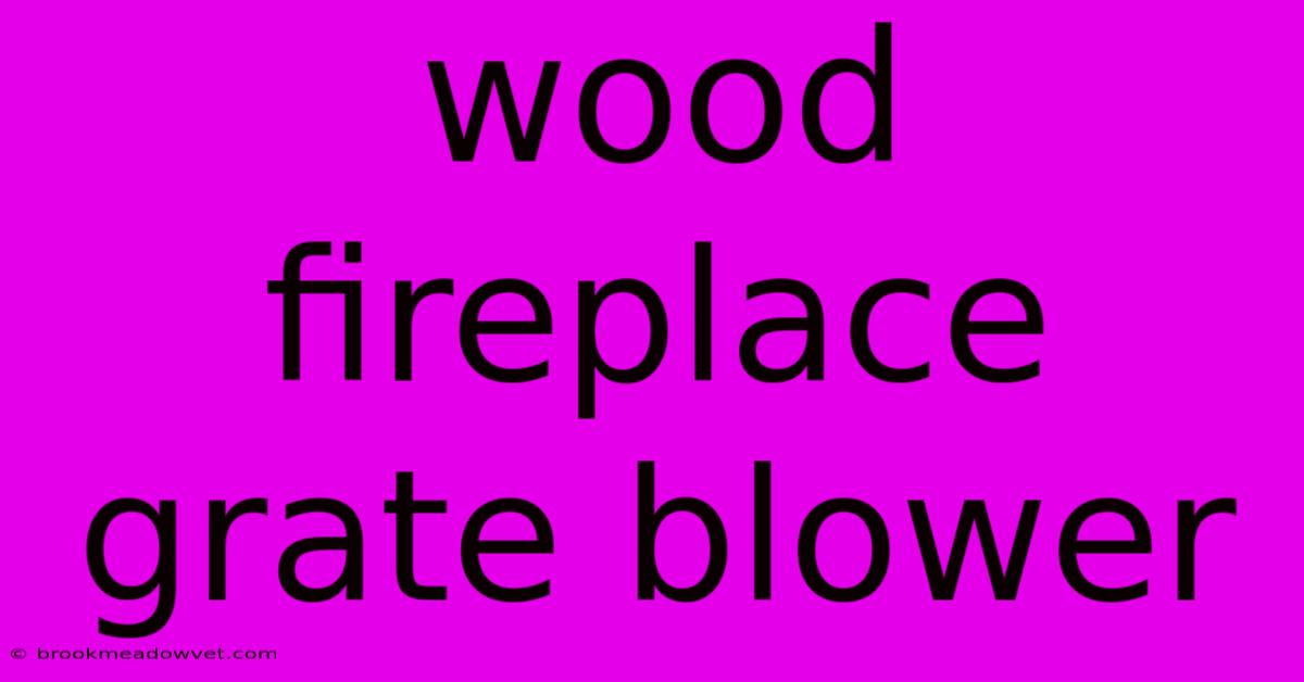 Wood Fireplace Grate Blower