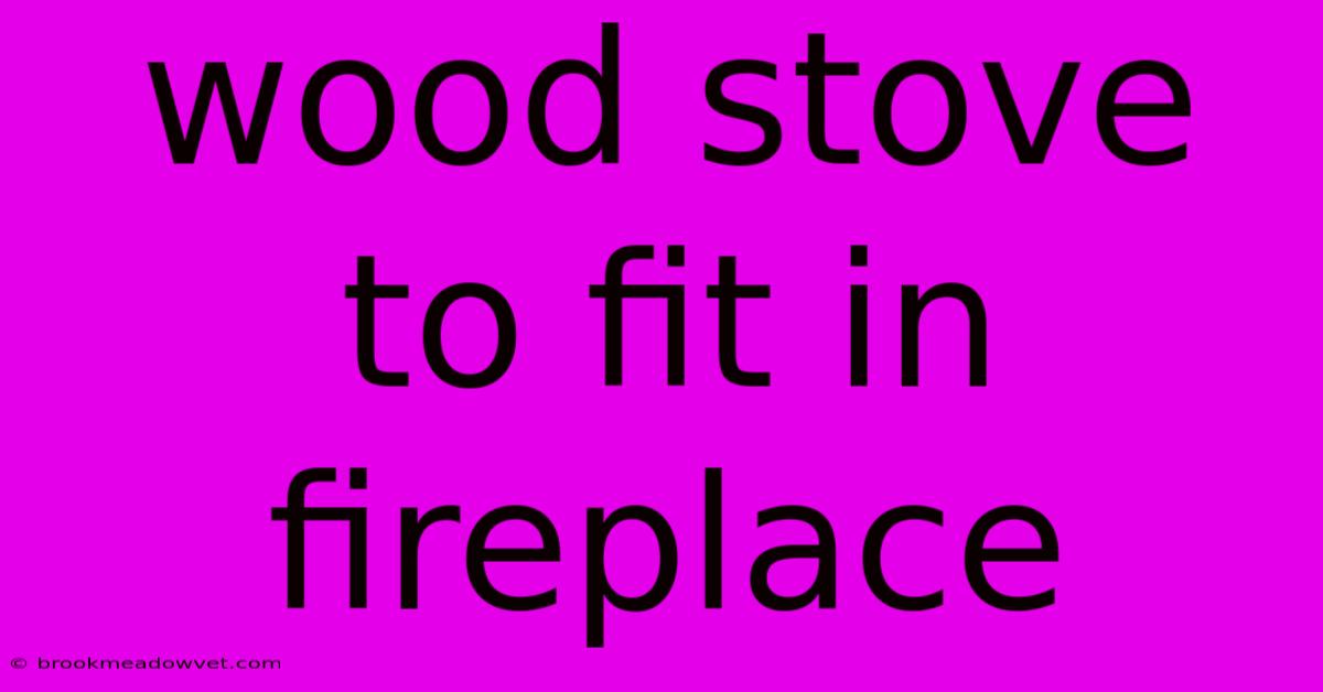 Wood Stove To Fit In Fireplace