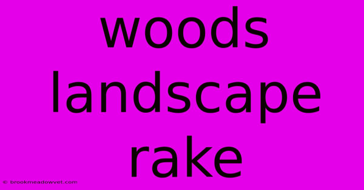 Woods Landscape Rake